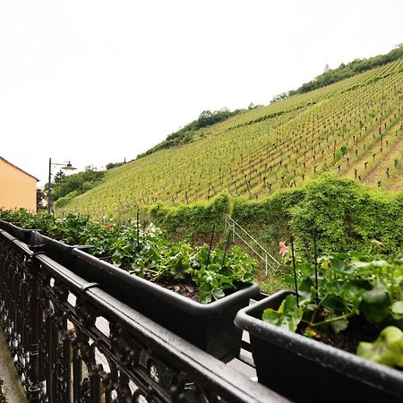 Alte Stadtvilla Am Weinberg 3 Traben-Trarbach Esterno foto