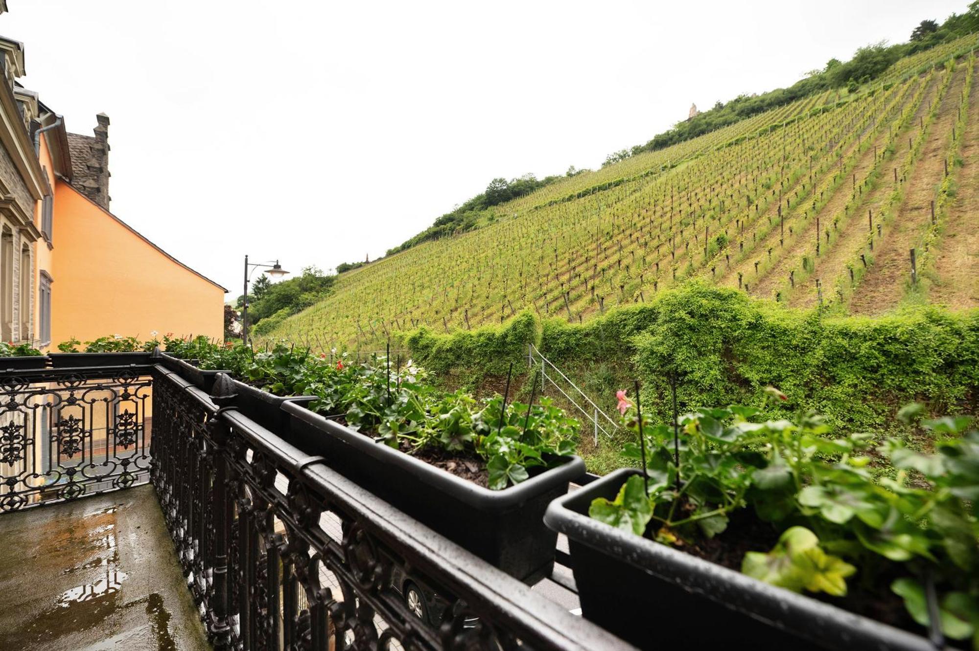 Alte Stadtvilla Am Weinberg 3 Traben-Trarbach Esterno foto